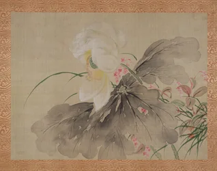 Peony Tree e Japanese Crab Apple Tree com flor, 1851 (aquarela em seda)